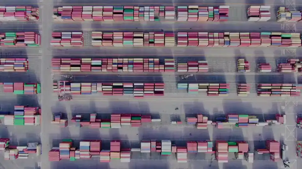 Licensed Customs Clearance & Compliance